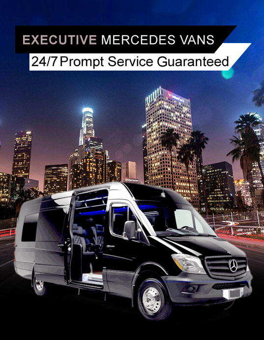 oc chauffeured mercedes sprinter
